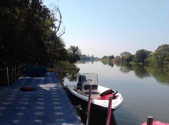 MPT Jungle Resort, Vidisha 4